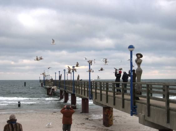 Urlaub in Zingst